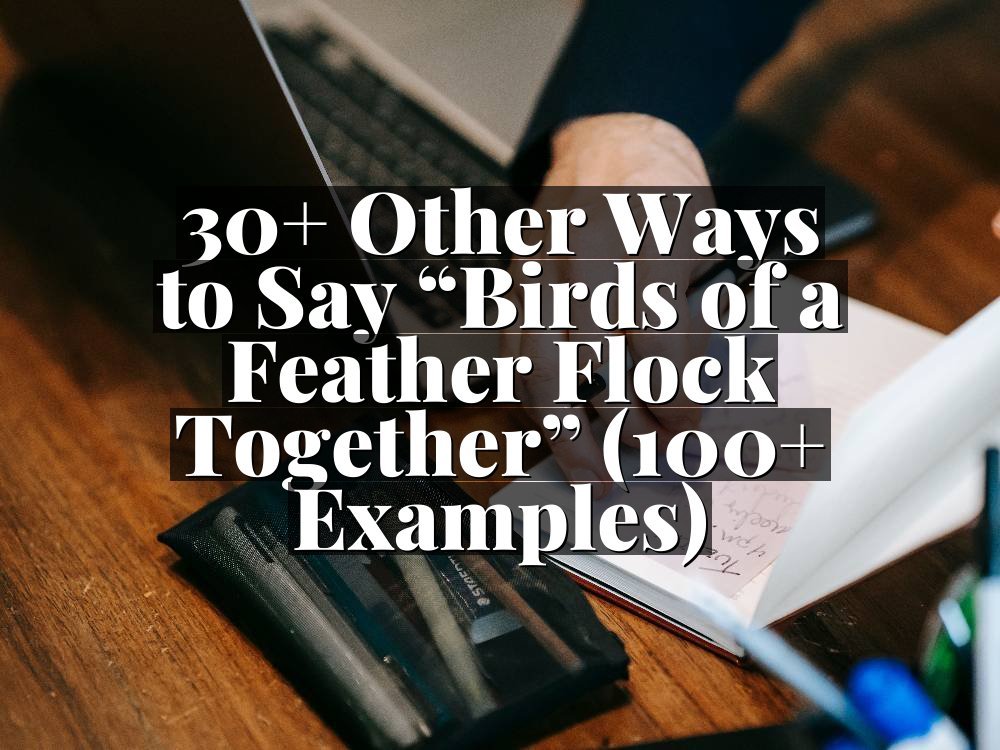 30+ Other Ways to Say “Birds of a Feather Flock Together” (100+ Examples)